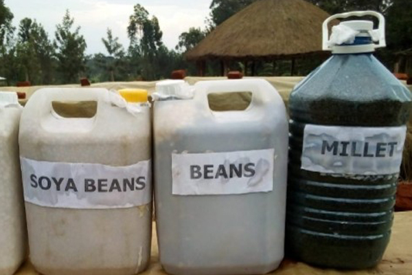 TIME FOR FARMERS TO PLANT SEED THEY STORED IN JERRYCANS